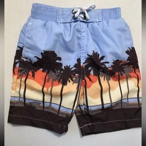 Baby Boys Infant Palm Trees Swim Suit Shorts Trunks Size 12m Beach Surf Blue